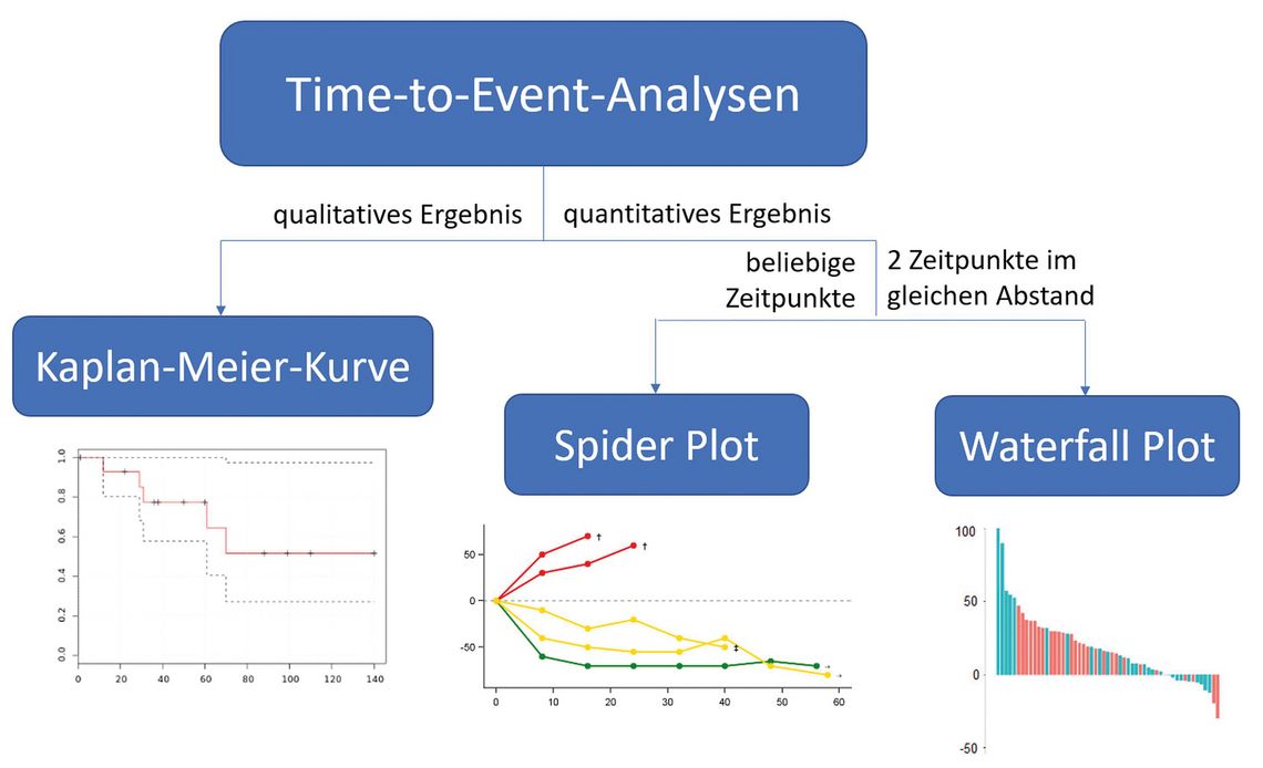 Biostatistik Graphische Darstellung Von Berlebenszeitanalysen