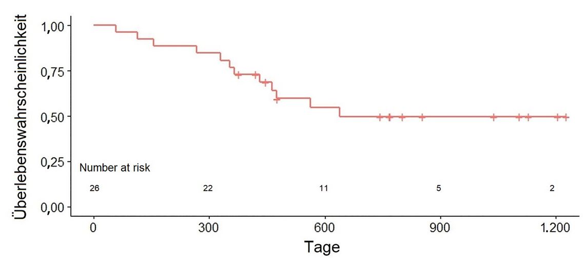 Biostatistik Graphische Darstellung Von Berlebenszeitanalysen