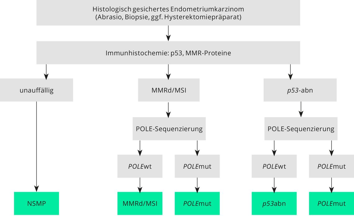 Systemtherapie Des Fortgeschrittenen Endometriumkarzinoms 