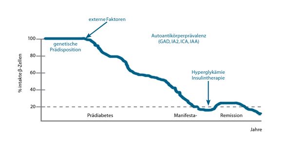 Autoantikörper beim Typ-1-Diabetes - Trillium GmbH ...