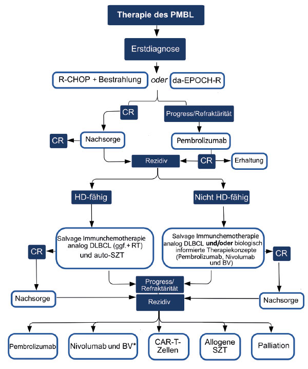 Primär Mediastinales B-Zell-Lymphom – Pathogenese, Diagnostik Und Therapie