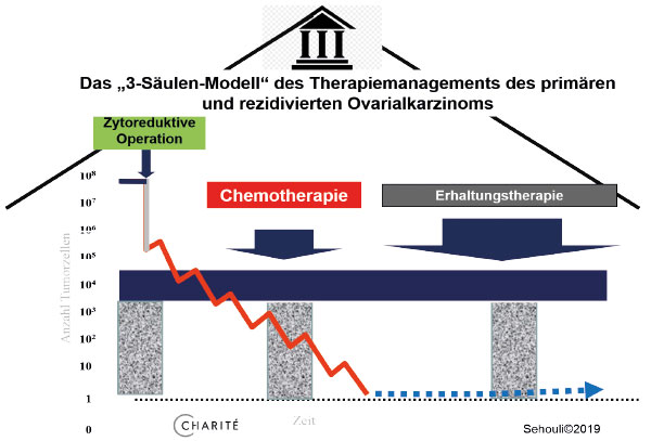 Primär- Und Rezidivtherapie Des Fortgeschrittenen Ovarialkarzinoms